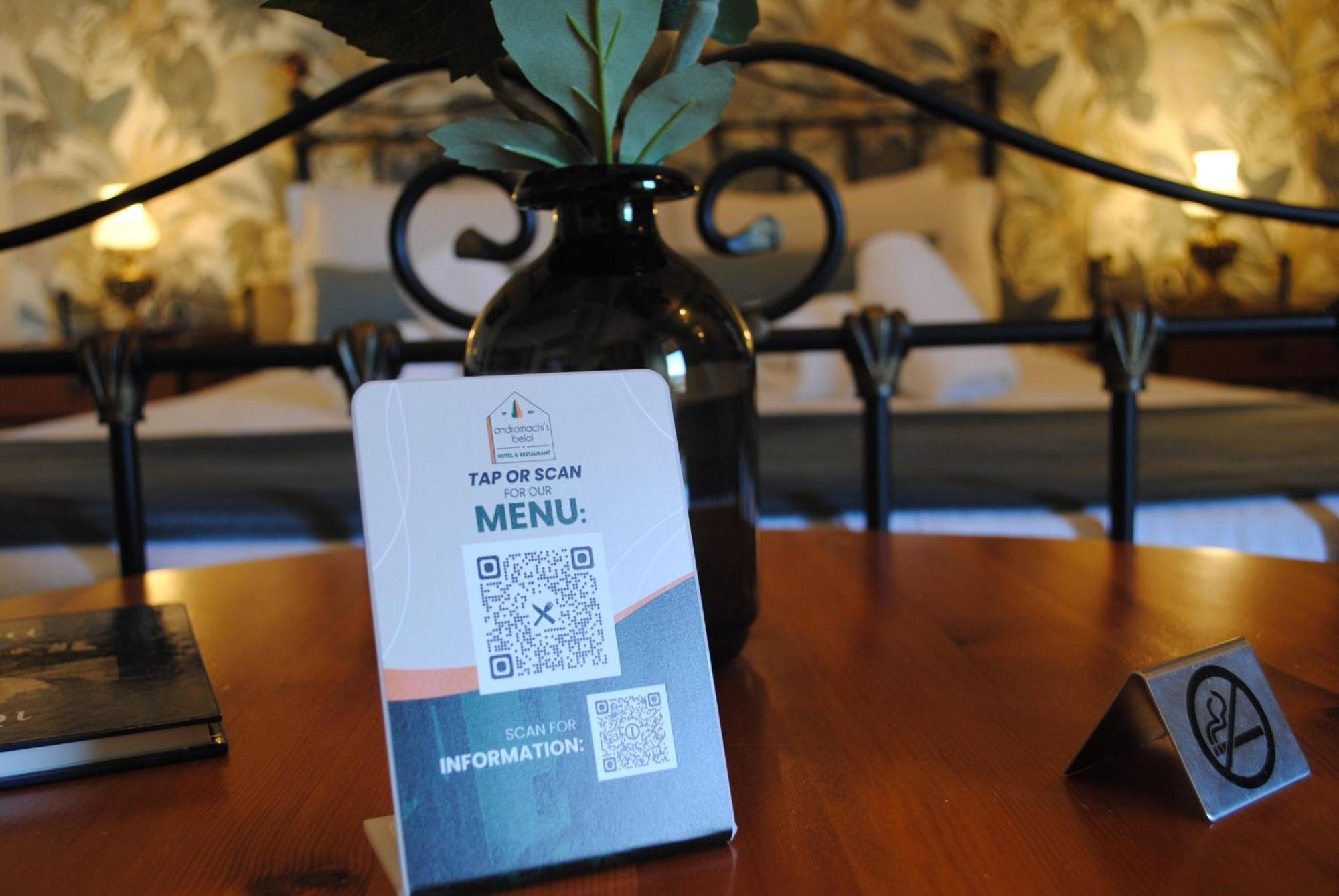 Andromachi'S Beloi Hotel Vitsa Eksteriør bilde